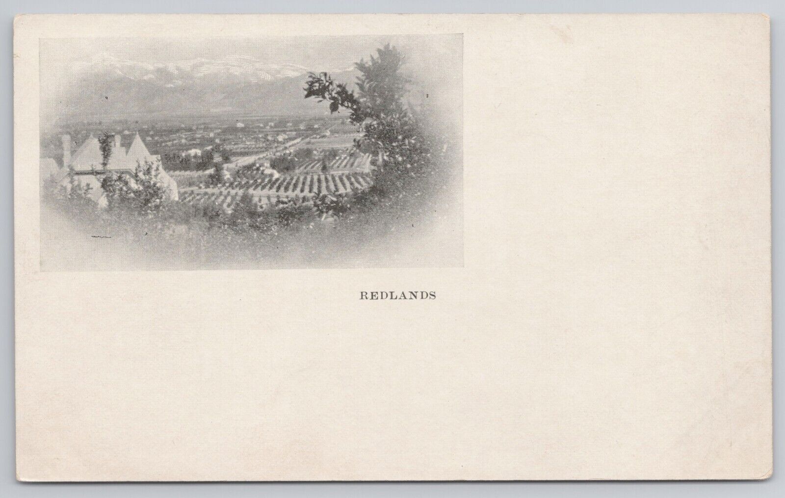 View of  Redlands California CA 1898-1901 Private Mailing Card Postcard PMC