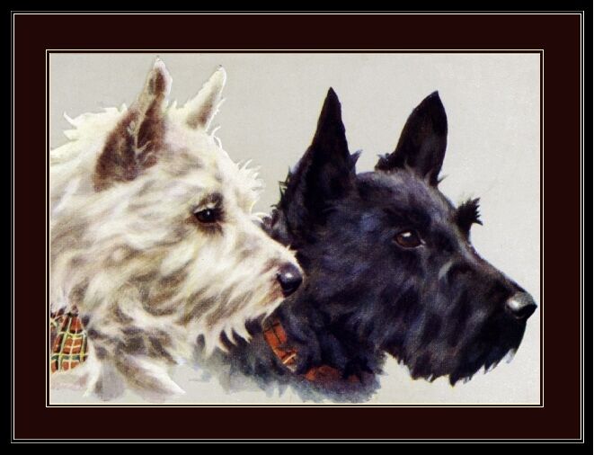 Print Scottish West Highland Terrier Dog Dogs Puppy Puppies Vintage Poster Art