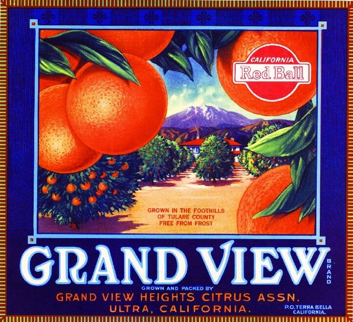 Ultra Terra Bella Tulare County Grand View Orange Citrus Fruit Crate Label Print