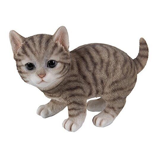  Realistic and Cute Grey Tabby Kitten Collectible Figurine Amazing Detail 