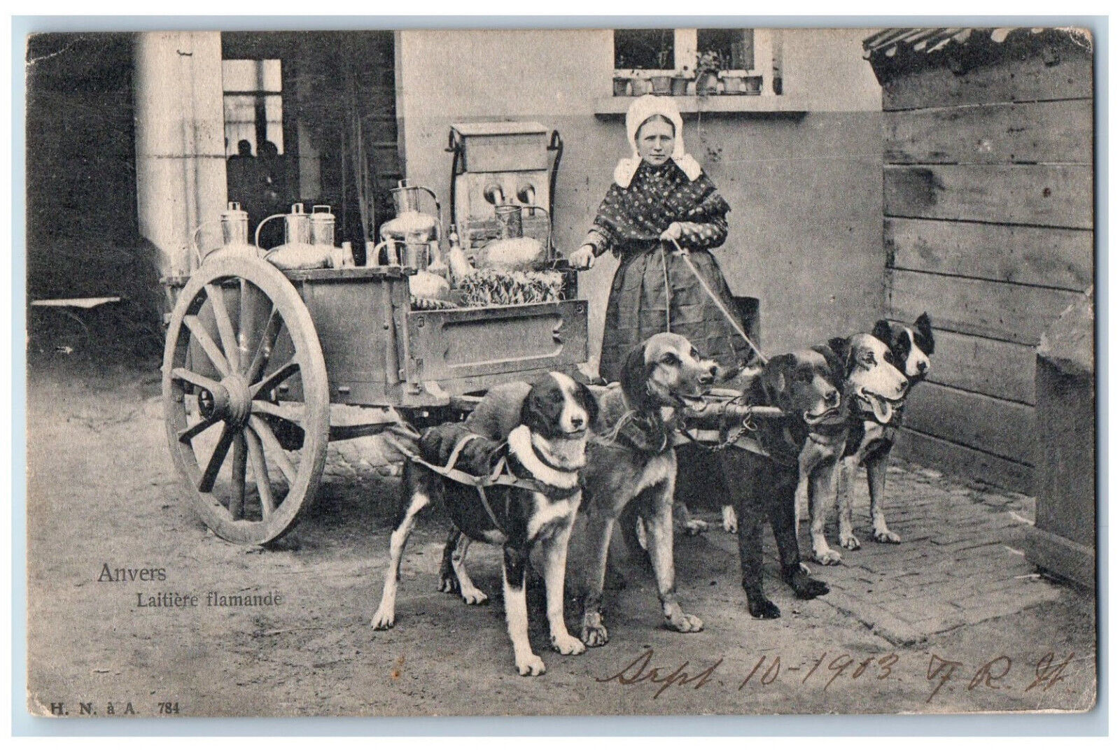 Antwerp Flemish Belgium Postcard Flemish Milkmaid 1903 Antique Posted