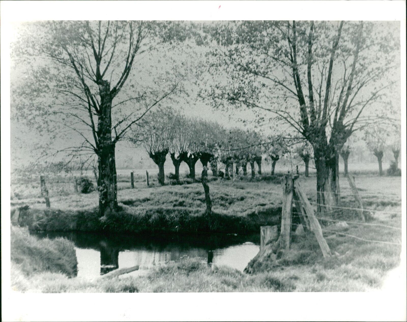 Wilhelm Mohnke (the pond) - Vintage Photograph 1286338