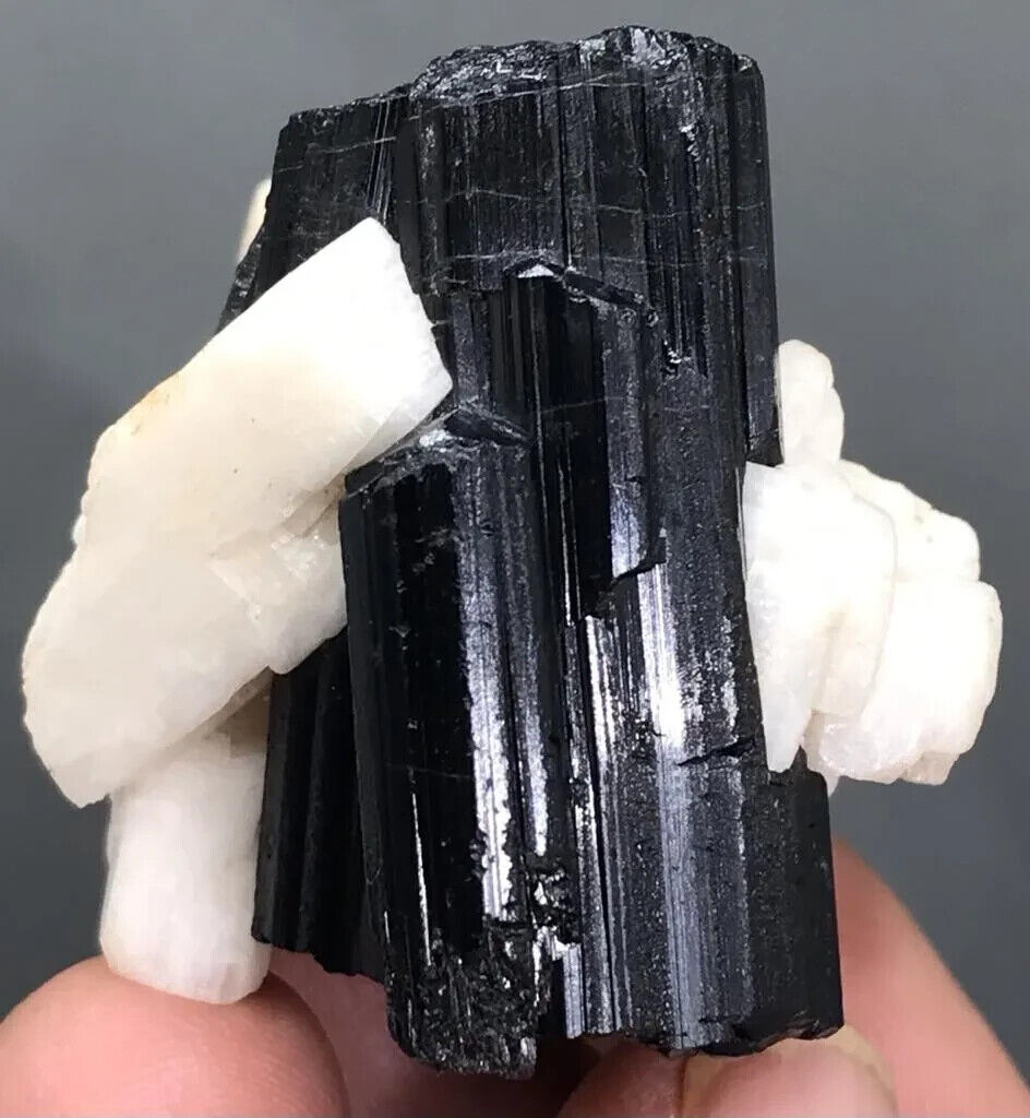 Beautiful black Tourmaline Crystal Specimen from Pakistan 269 Carats