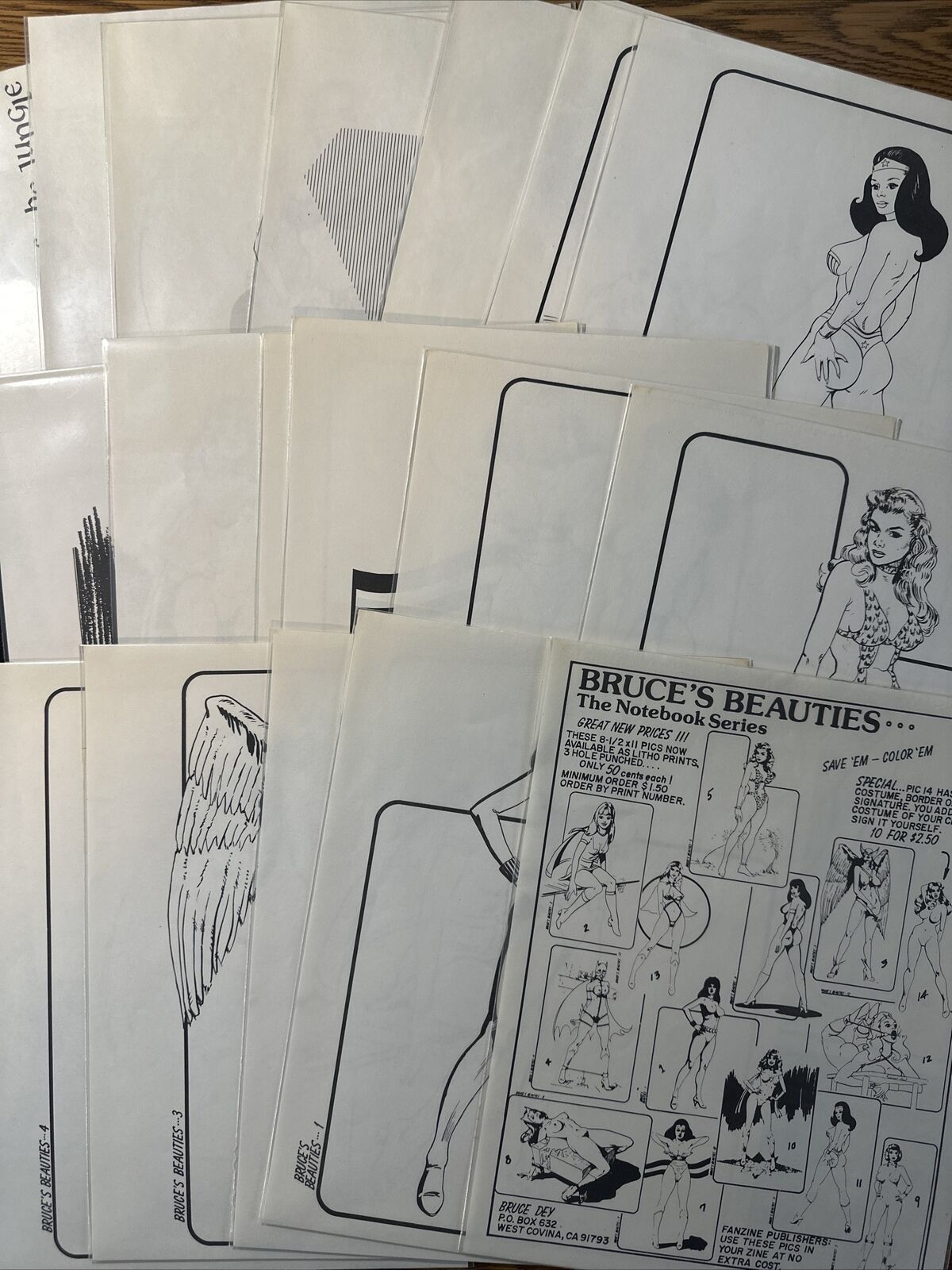 Bruce’s Beauties Bruce Dey Fantasy Fem-Art Bad Girl Art Print Complete Set of 20