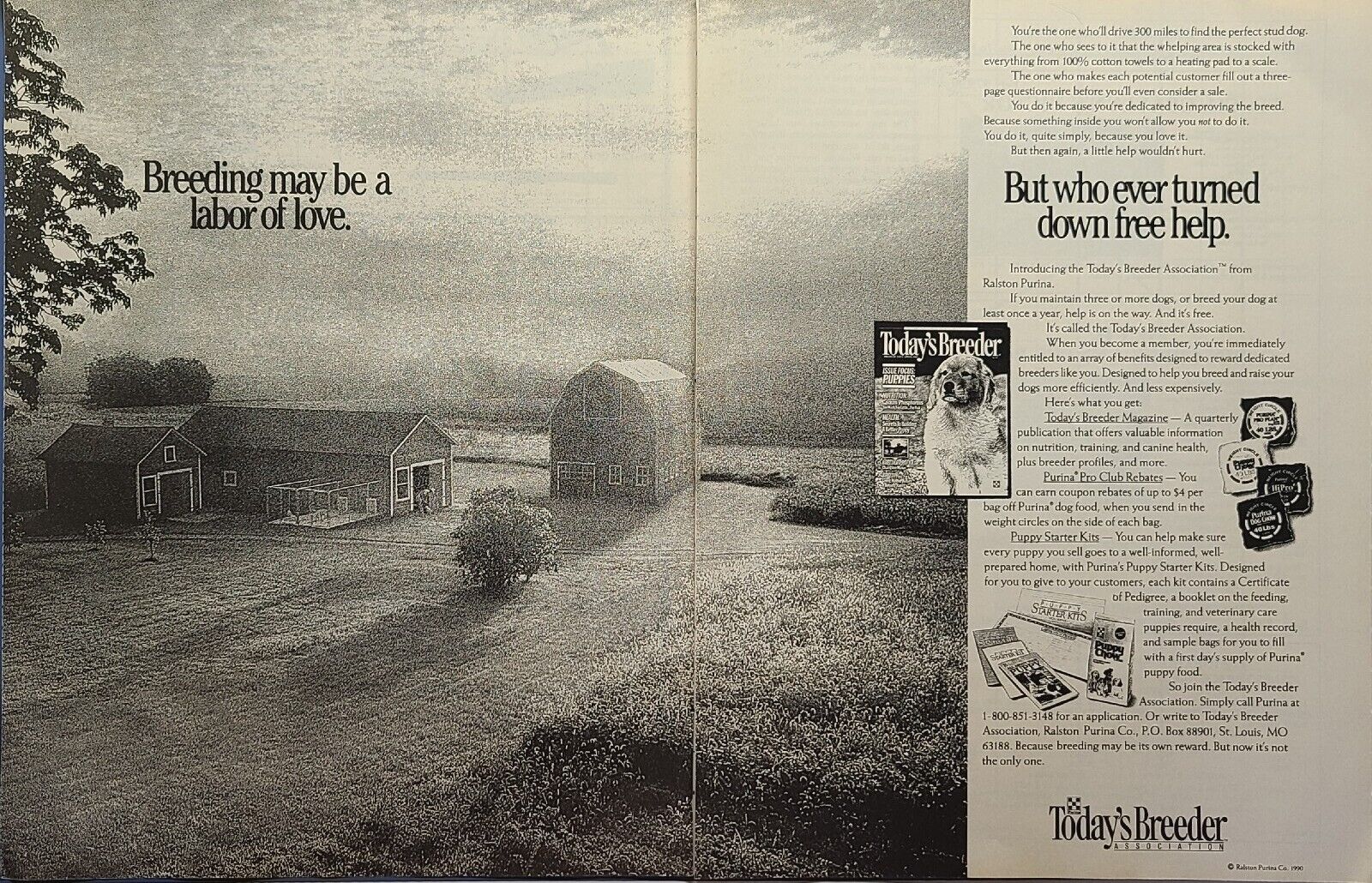 Purina Dog Chow Today\'s Breeder Pro Club Rebates Kennel Vintage Print Ad 1990