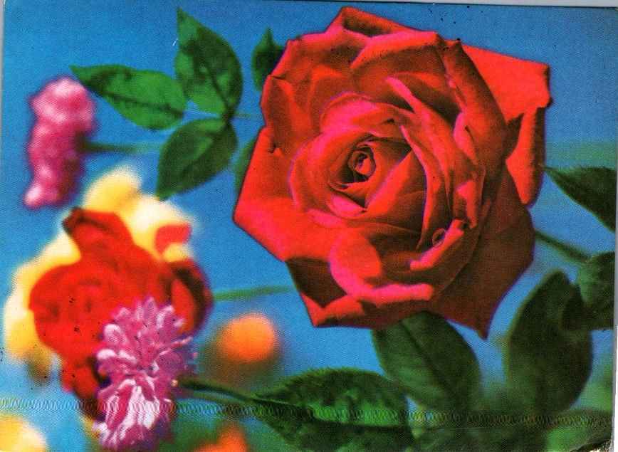 ROSE GARDEN POSTED TO CANADA FROM BURMA 1980 SUPER POSTAGE STAMPS