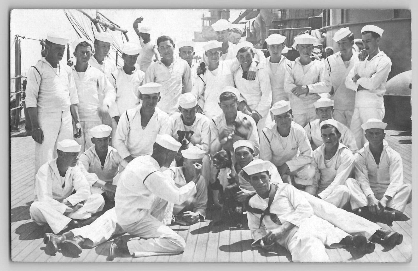 US Navy Sailors Dogs on Deck USS Texas Battleship WWI WW1 RPPC Photo Postcard