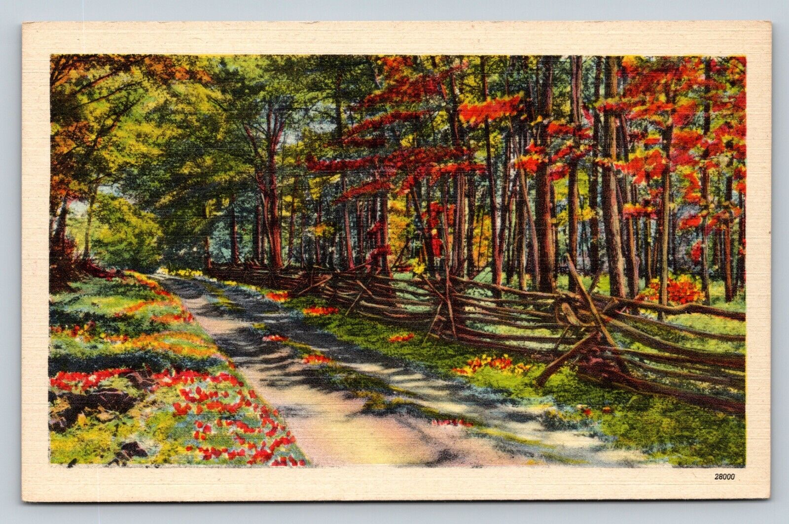 Dirt Road Next To A Wooden Fence Nature Blooming VINTAGE Linen Postcard Unposted
