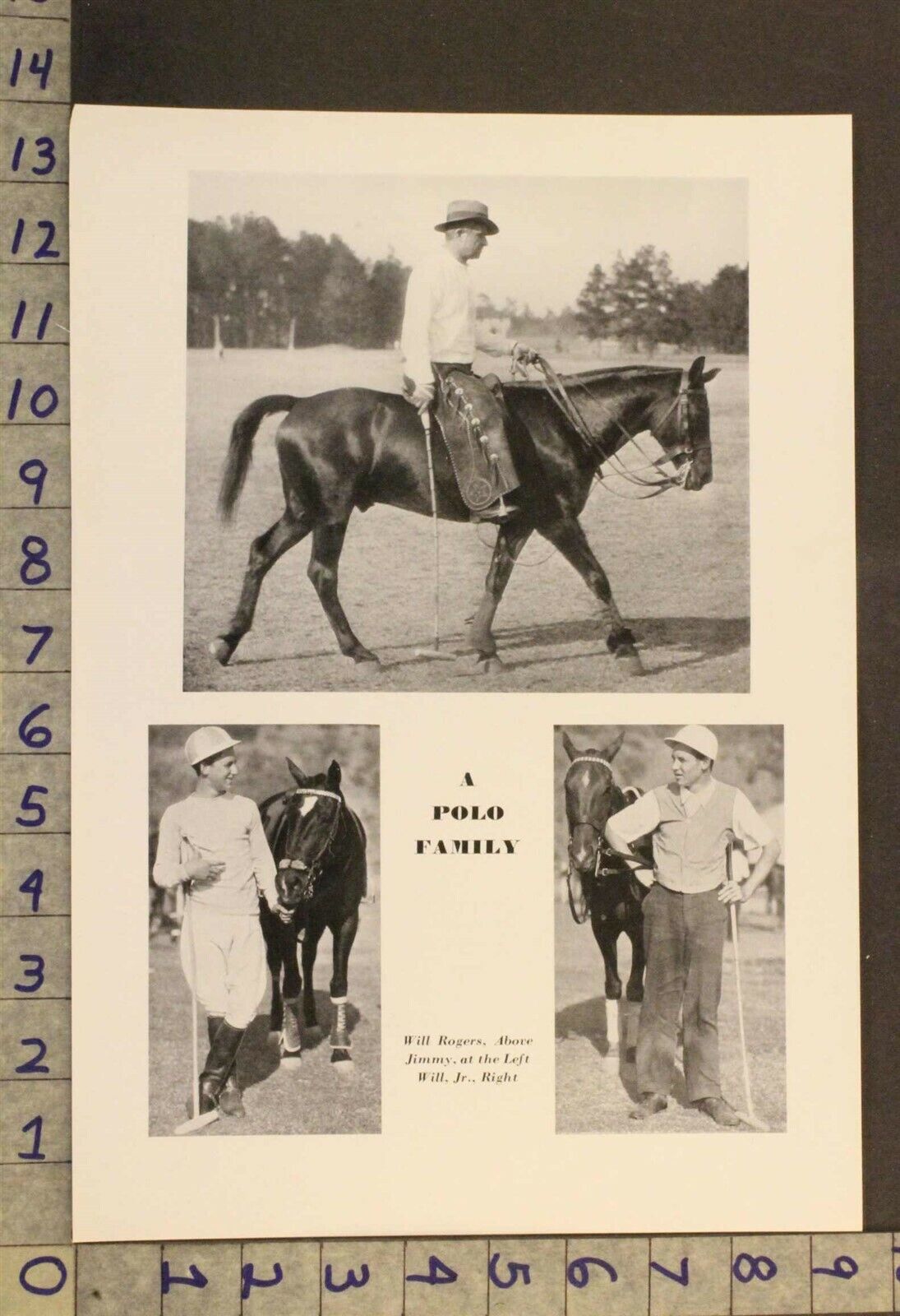 1933 EQUESTRIAN HORSE POLO SPORT GAME WILL ROGERS JIMMY JR INSERT PRINT XA22