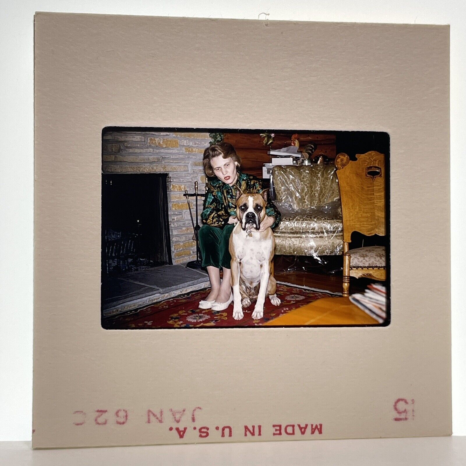 Vintage 60s 35mm Slide Woman Posed In Living Room With Her Dog