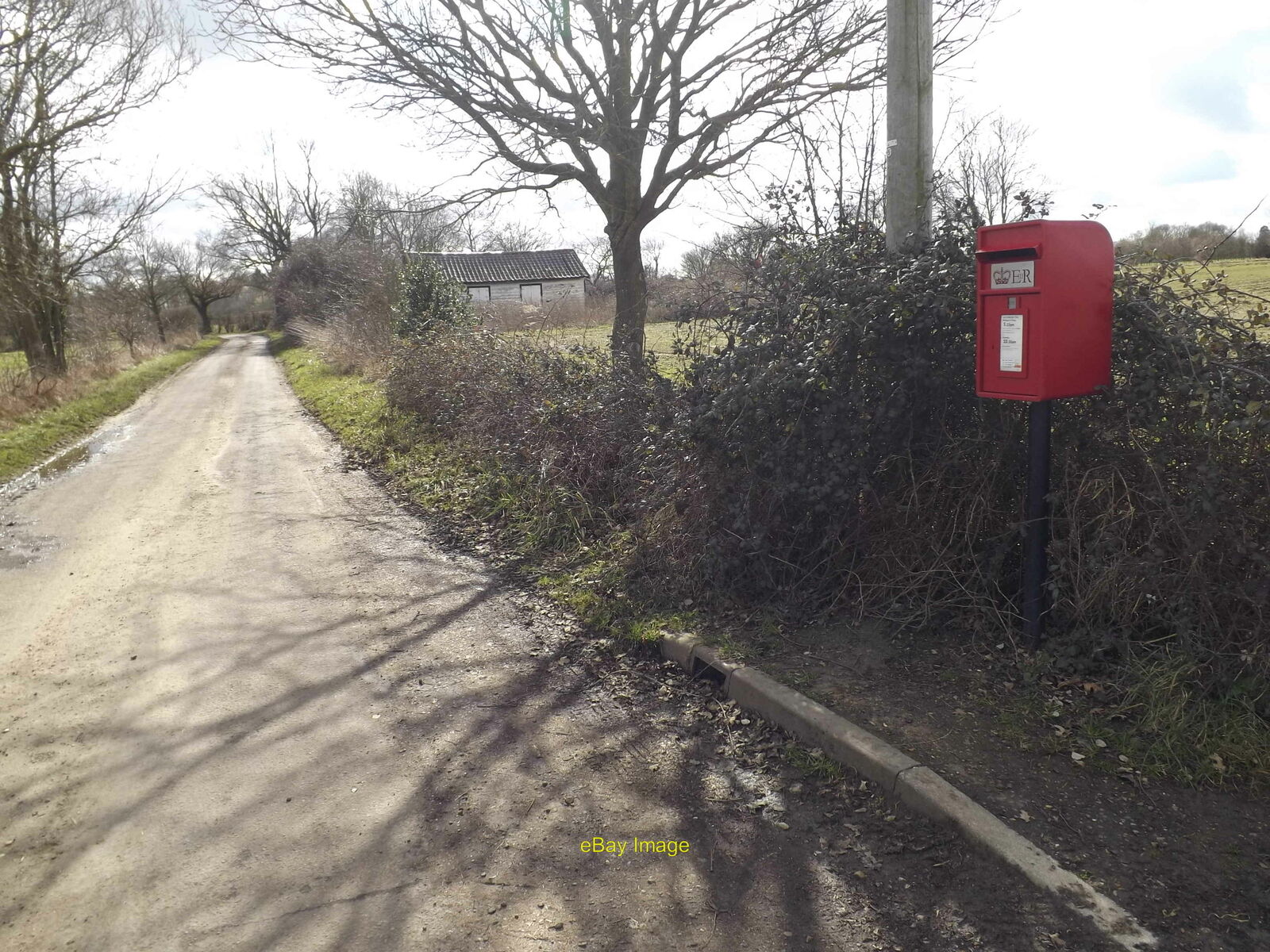 Photo 12x8 New Road & Great Green Postbox 2 c2015