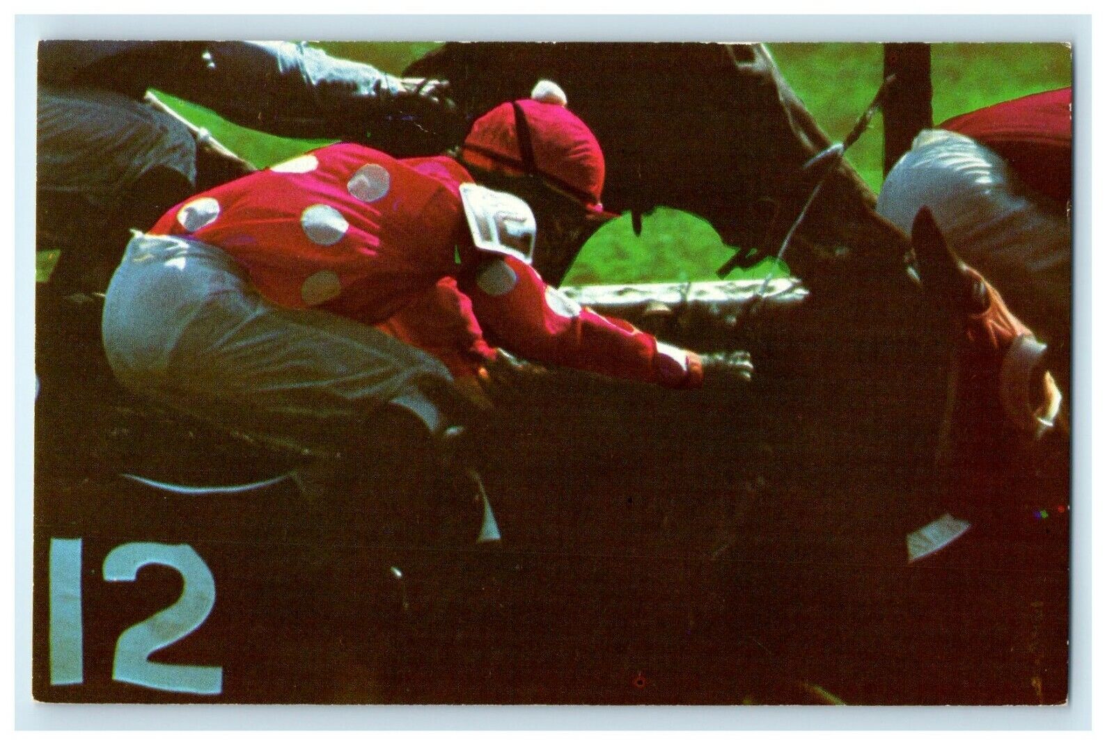 c1950\'s Aqueduct Belmont Park Saratoga Thoroughbred Horse Racing NY Postcard