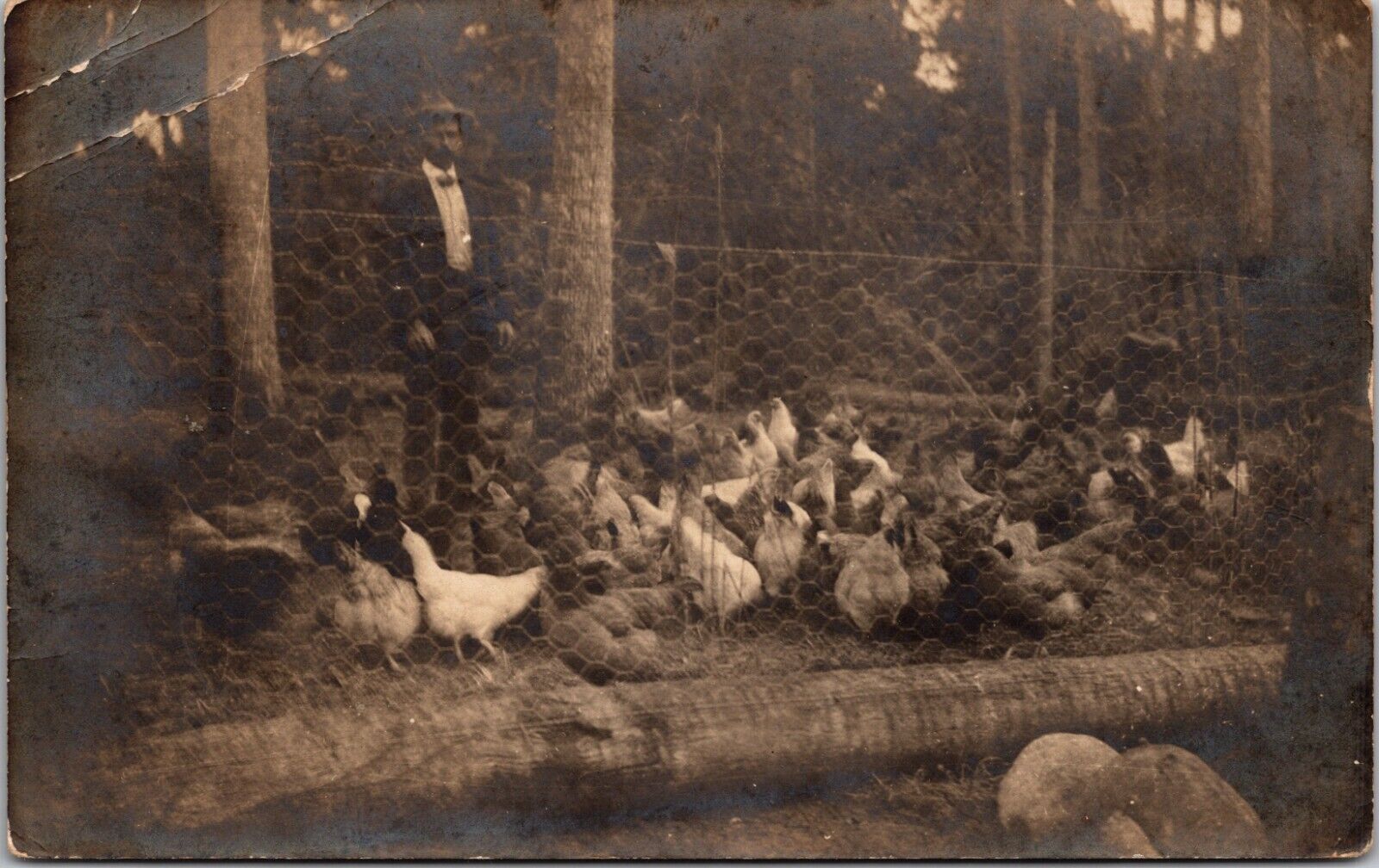 RPPC Man Standing Among A Flock of Chickens c1908 Vintage Postcard