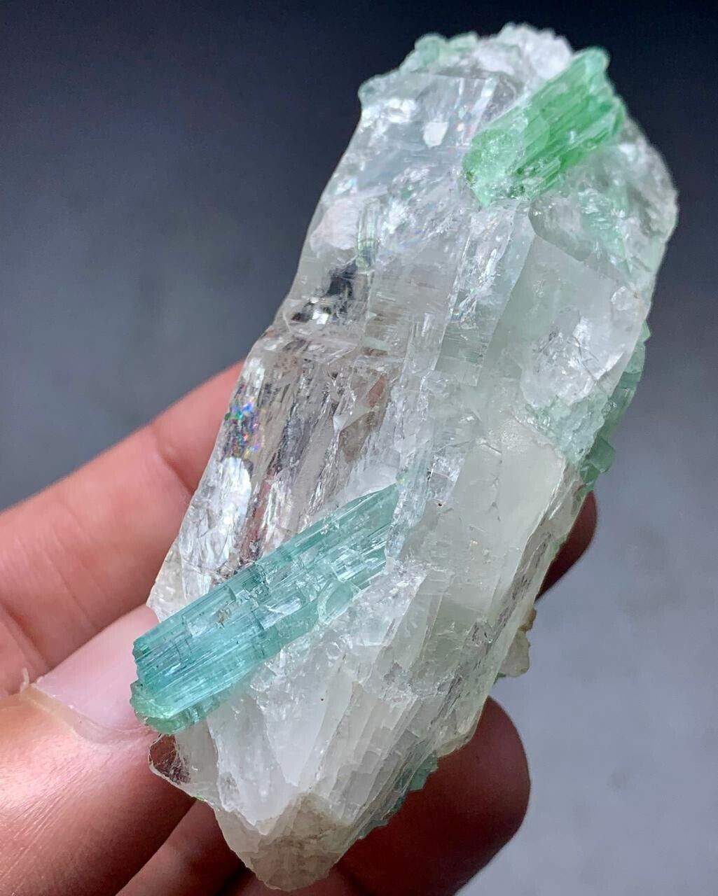 450 ct Tourmaline Crystals on Quartz from Afghanistan