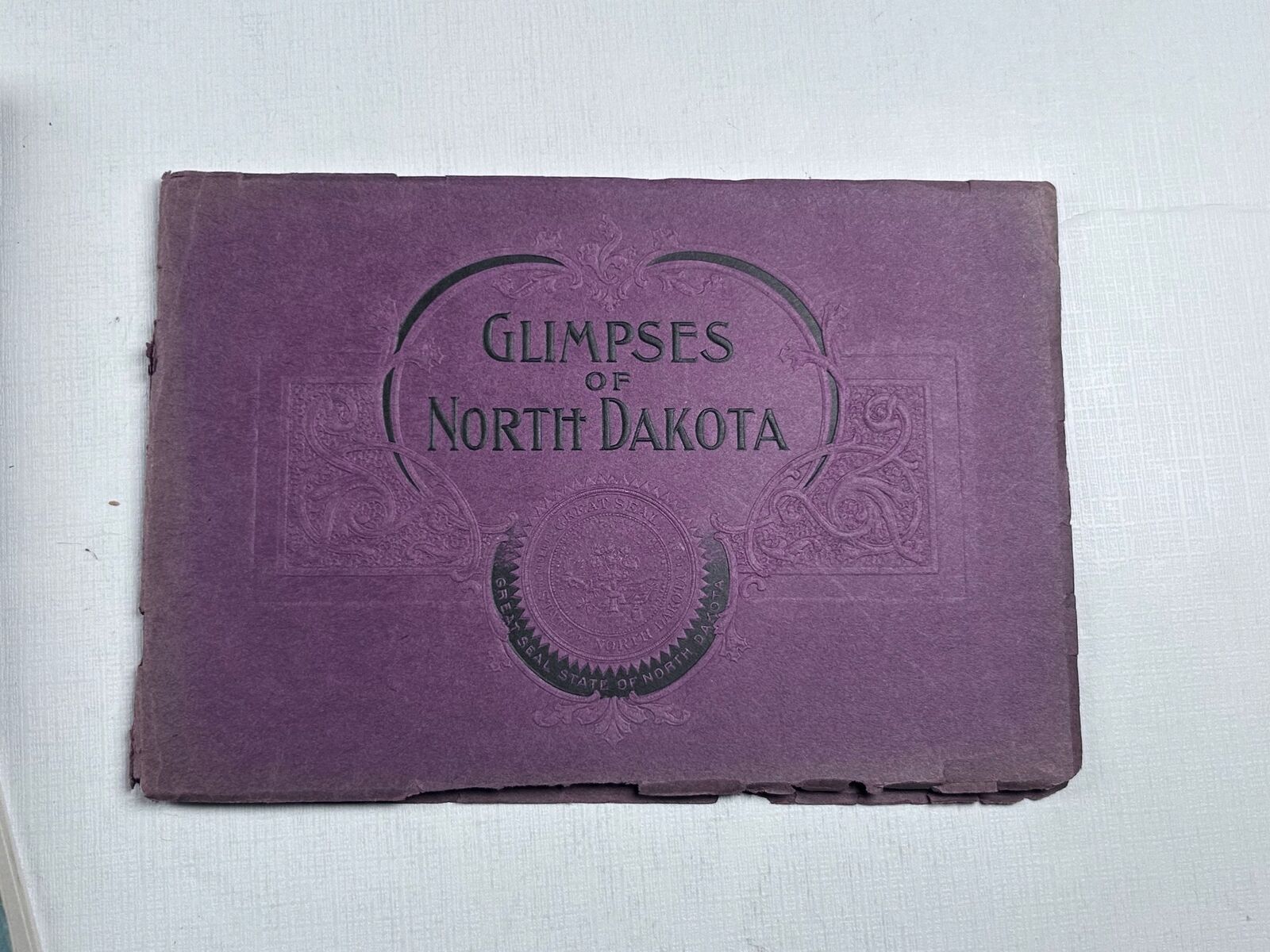 Glimpses of North Dakota Pan American Expo Commission 1901