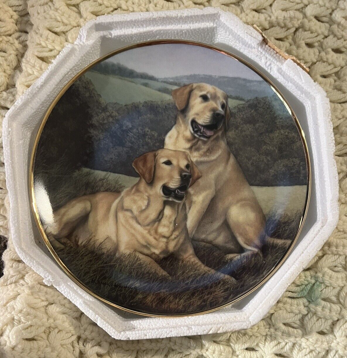 Golden Companions Limited Edition Collector Plate By Franklin Mint~