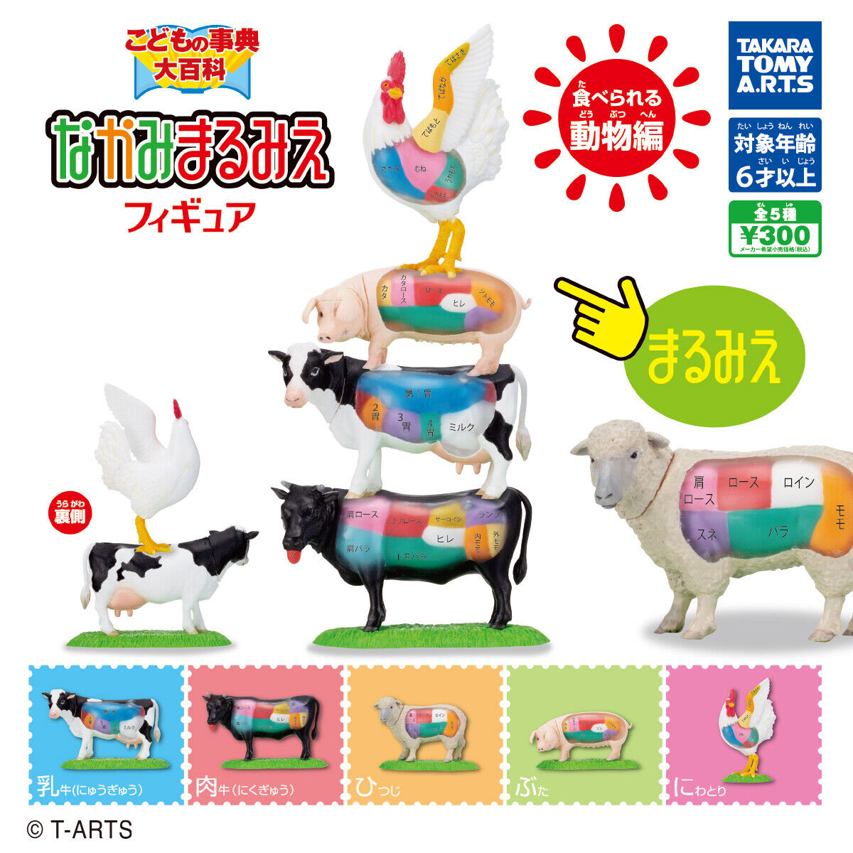 Children\'s Encyclopedia Nakami Marumie Figure Edible Animals Gacha Capsule 425Y