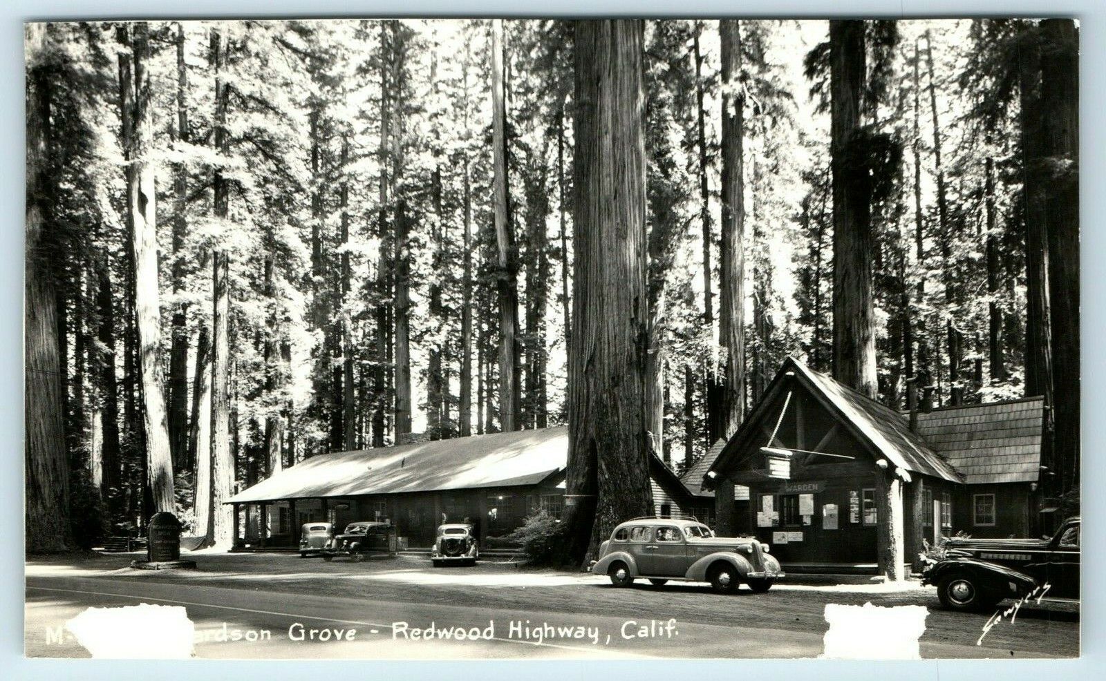 Postcard Richardson Grove, Redwood Highway CA (damaged, trimmed) RPPC B197