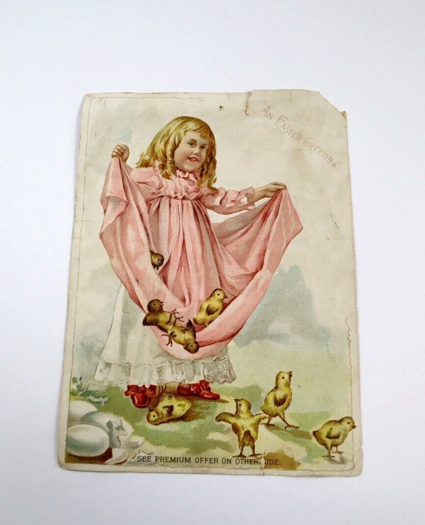 VTG 1894 Litho Lion Coffee Woolson Spice Co Easter Greetings Ad Card Baby Chics