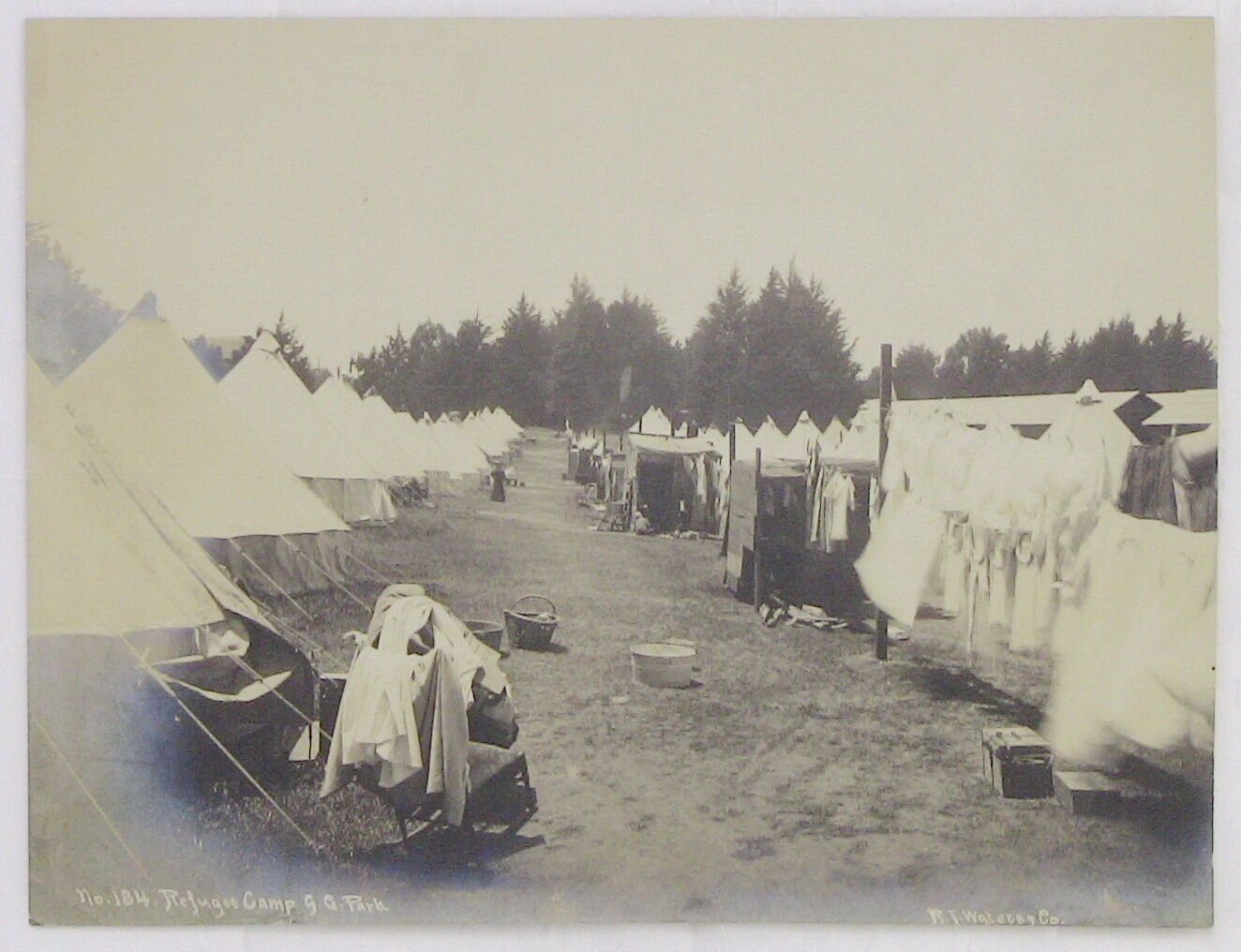 1906 Original Photograph RJ Waters #184, San Francisco Earthquake Refugee Camp