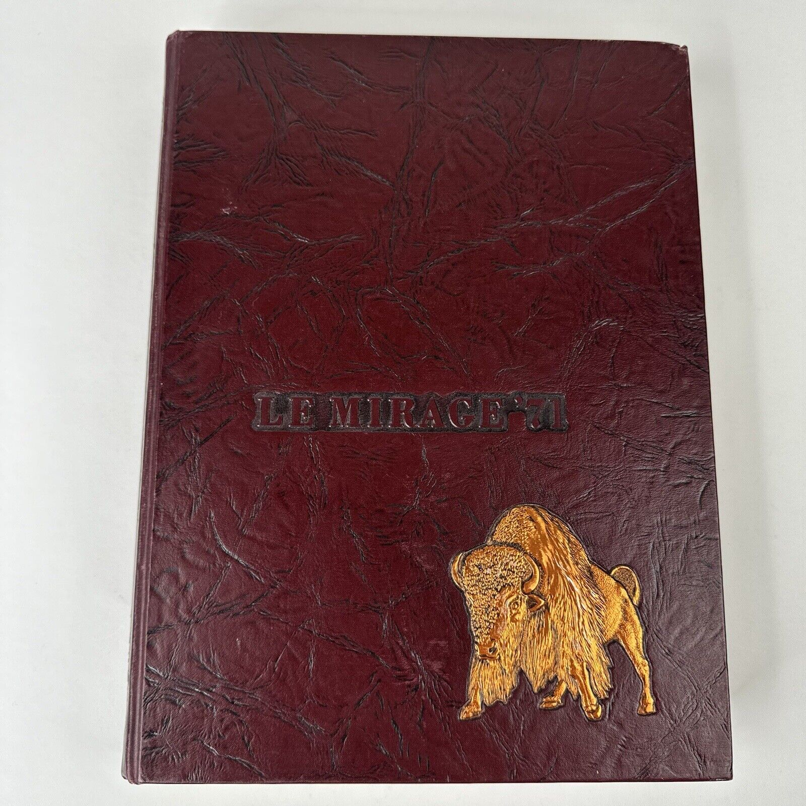 West Texas State University Yearbook 1971 LE Mirage Canyon, TX No writing