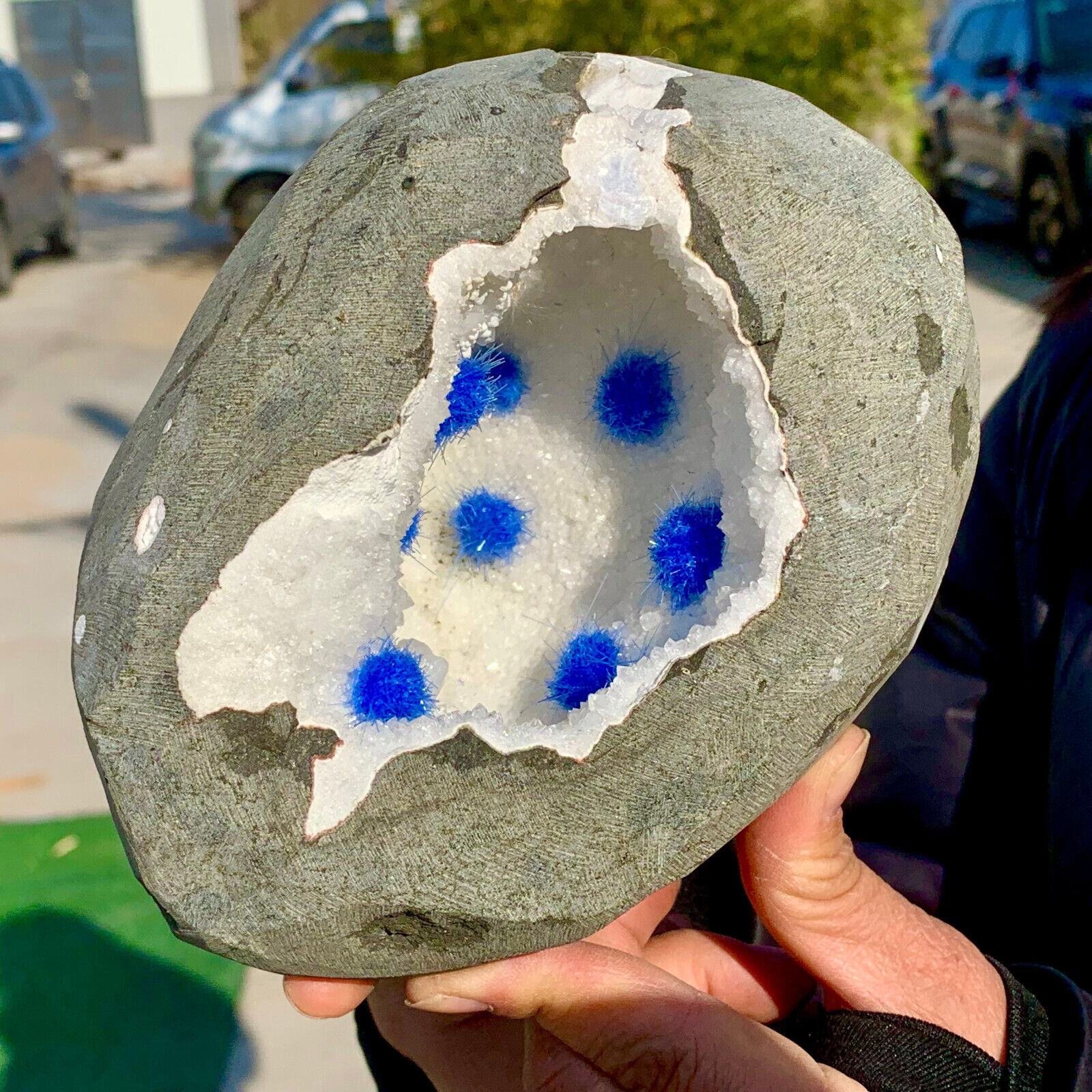 6.03LB Rare Moroccan blue magnesite and quartz crystal coexisting specimen