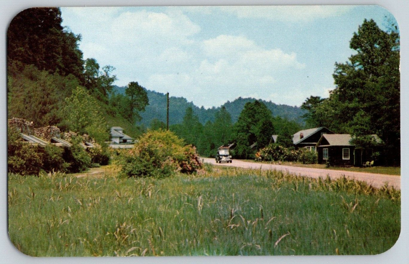 Vintage Postcard~ Newfound Lodge~ Cherokee, North Carolina~ NC