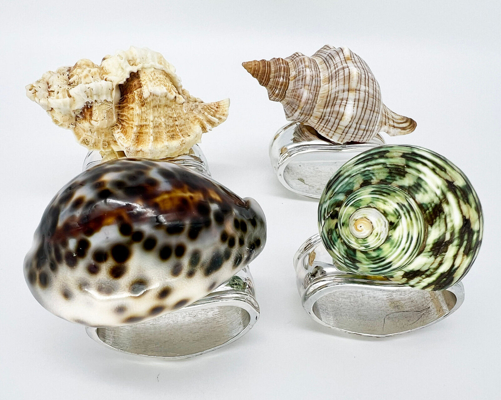HANS TURNWALD Set of 4 Silver Plated Real African Shell Napkin Rings Beach Decor