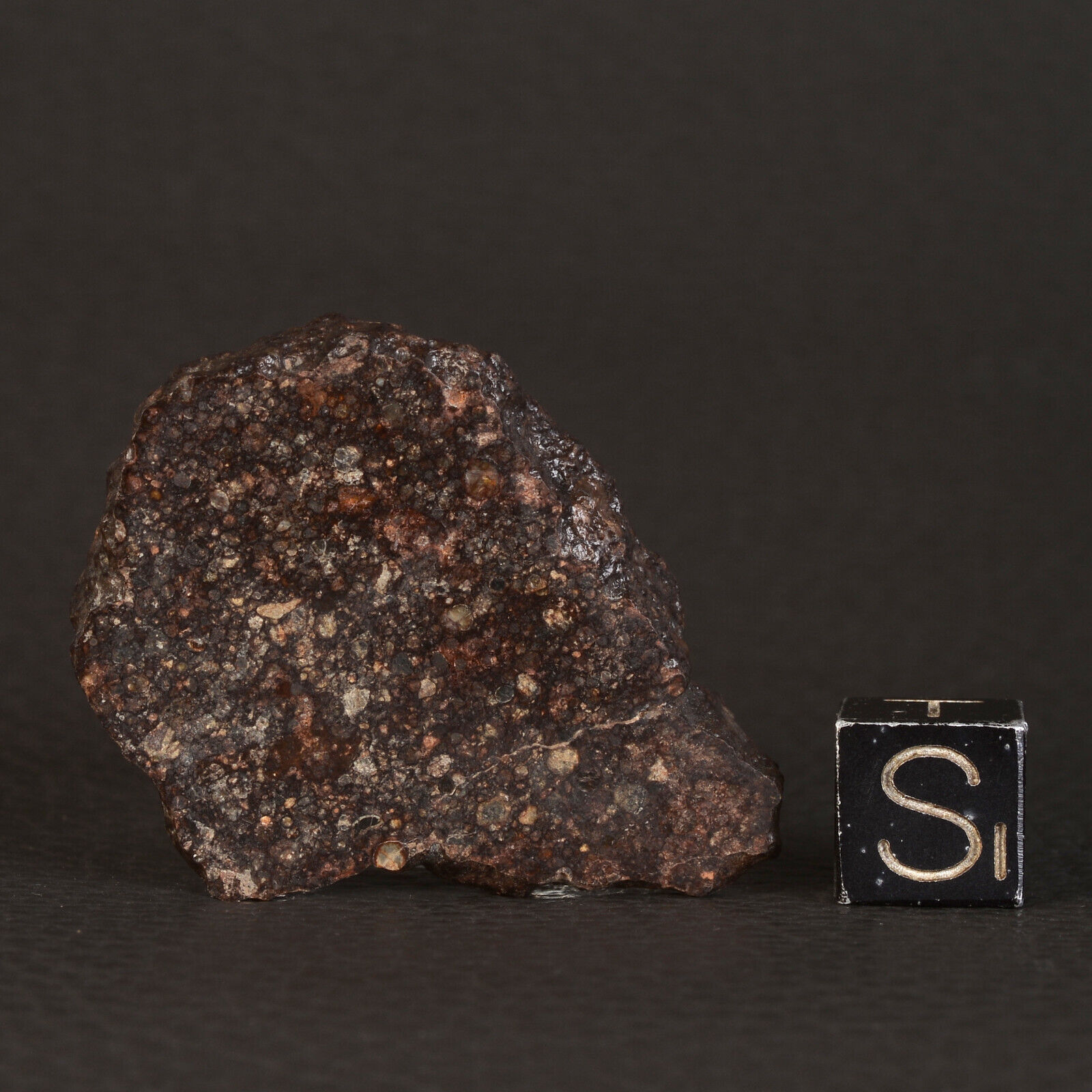 Meteorite Nwa 15729 Of 19,19 G End Cut Chondrite Type LL3 D47.1-3