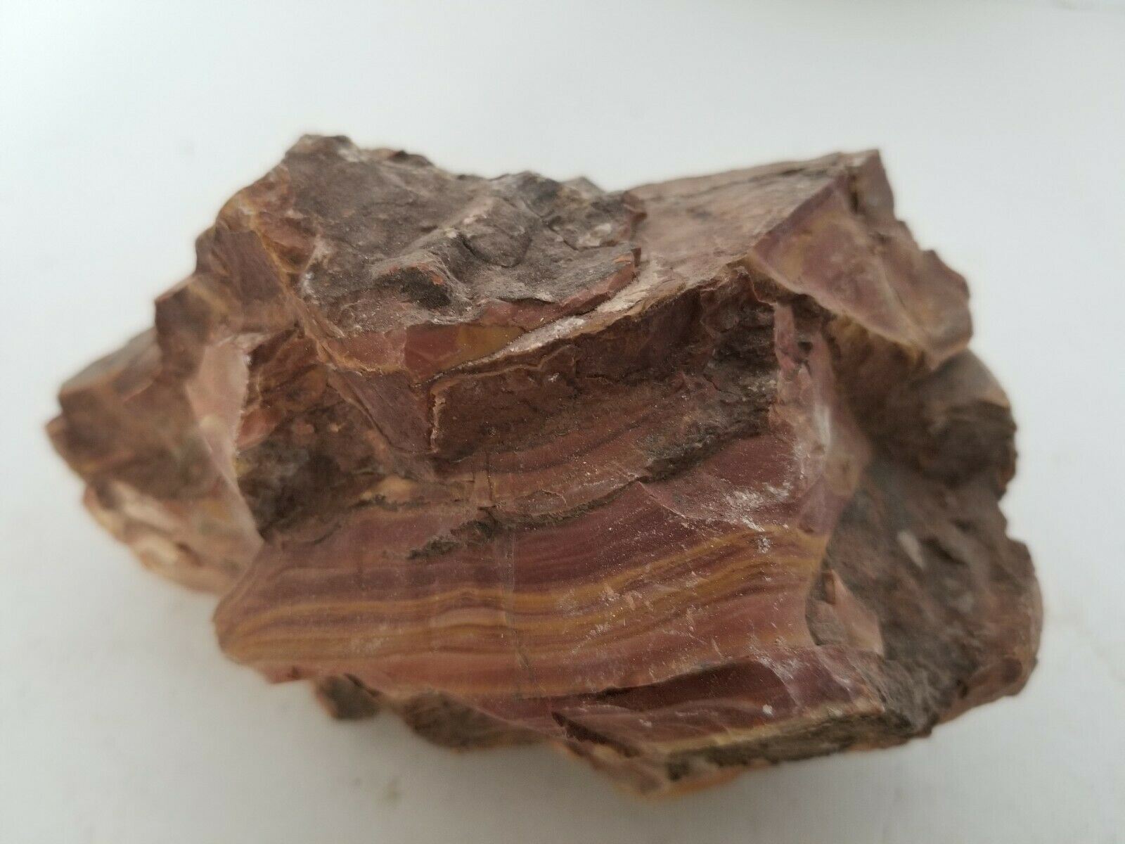 Wonderstone Banded Rhyolite Stone Large Raw Natural Mineral Specimen Nevada