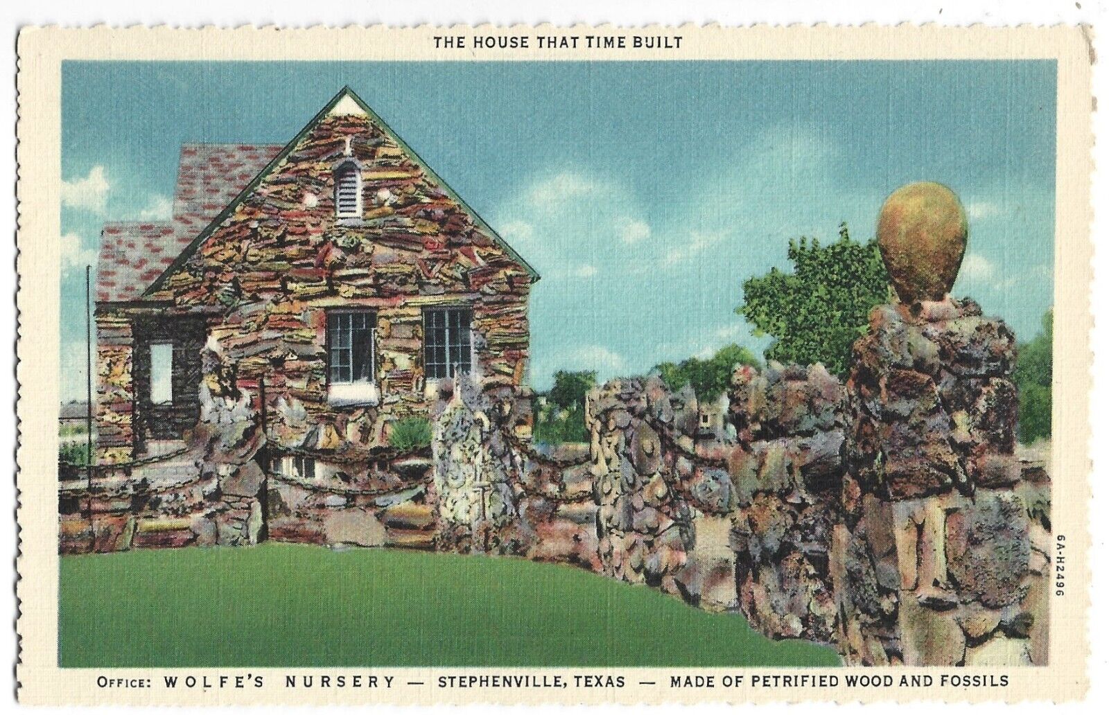 Postcard Wolfes Nursery Stephenville Texas House Of Petrified Wood Vintage