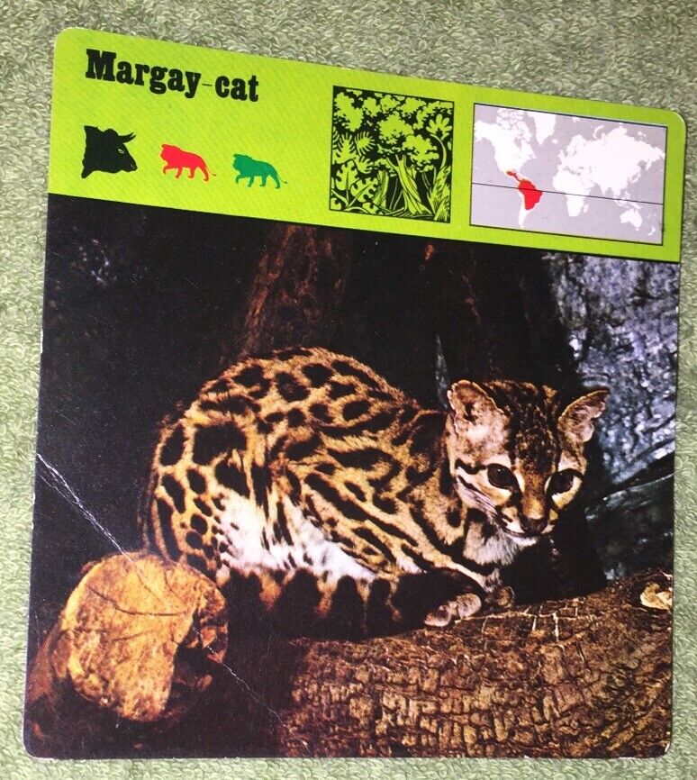 Vintage 1975 Animal Card - Margay-cat - Printed In Japan