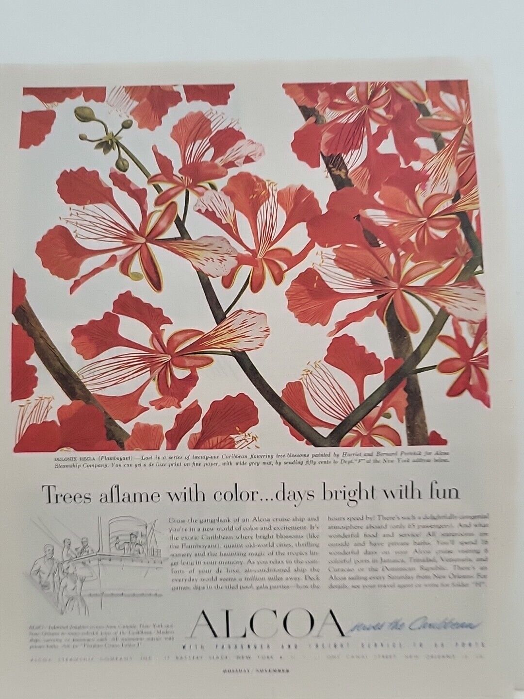 1953 Alcoa Steamship Company Holiday Print Ad Vacation Flowers Caribbean Regia