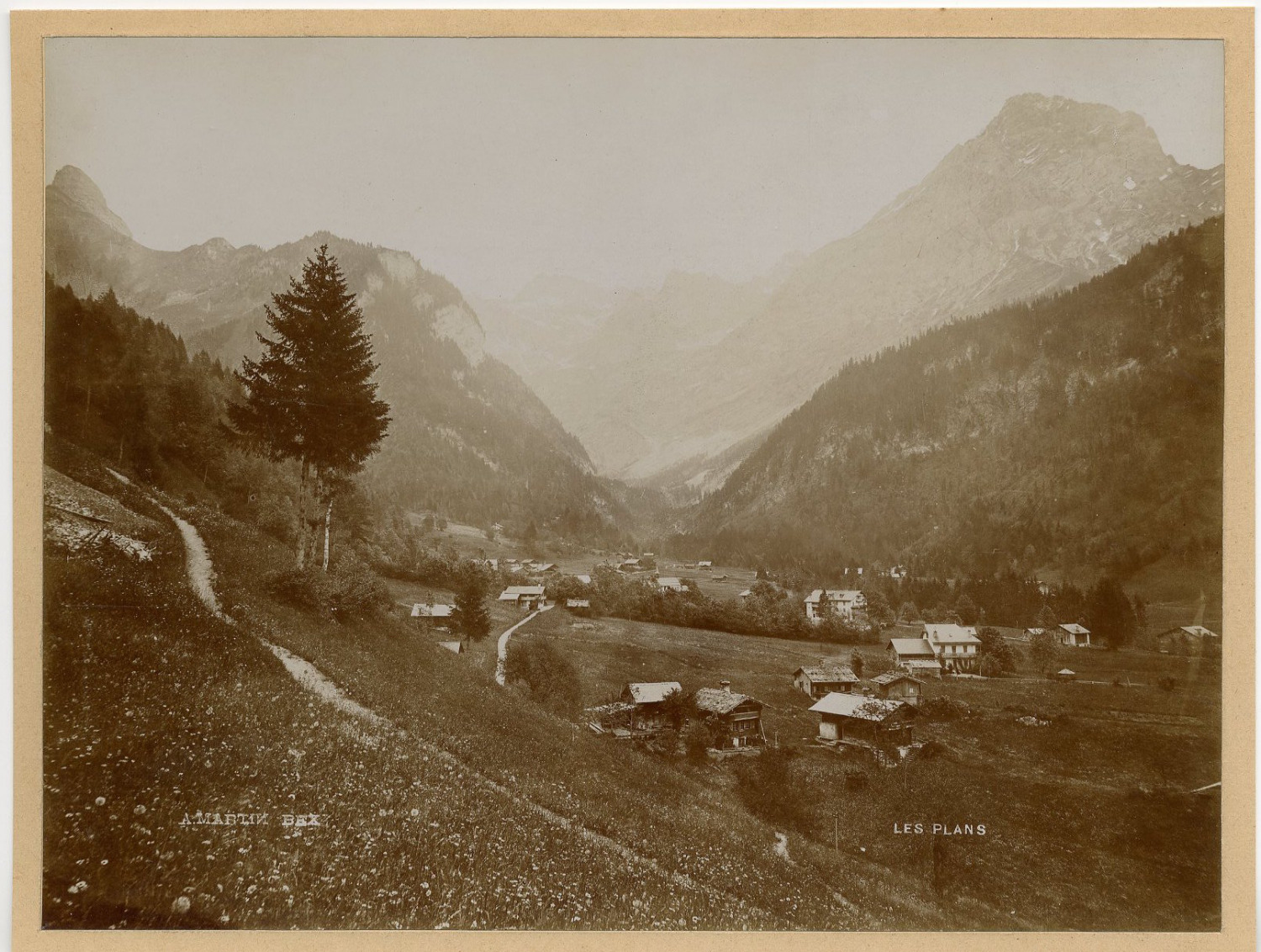 A. Martin, Switzerland, Les Plans (on Bex) Vintage Citrate Print. Vintage Switzerlan