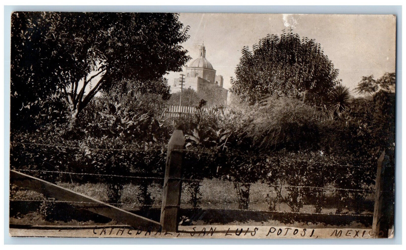San Luis Potosi Mexico Postcard Cathedral 1908 Antique Posted RPPC Photo