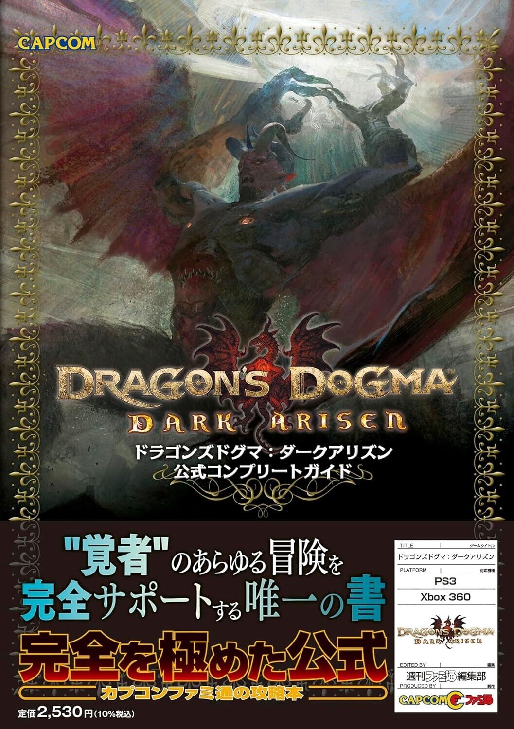 Dragon's Dogma Dark Arisen Official Complete Guide Art work Book Japan