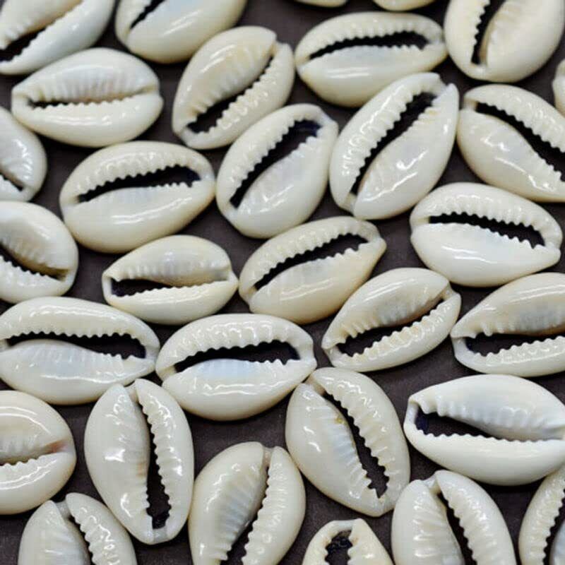 Loose Packed Natural Shells White Kodi/Kauri/Gavvalu - 108 Pieces