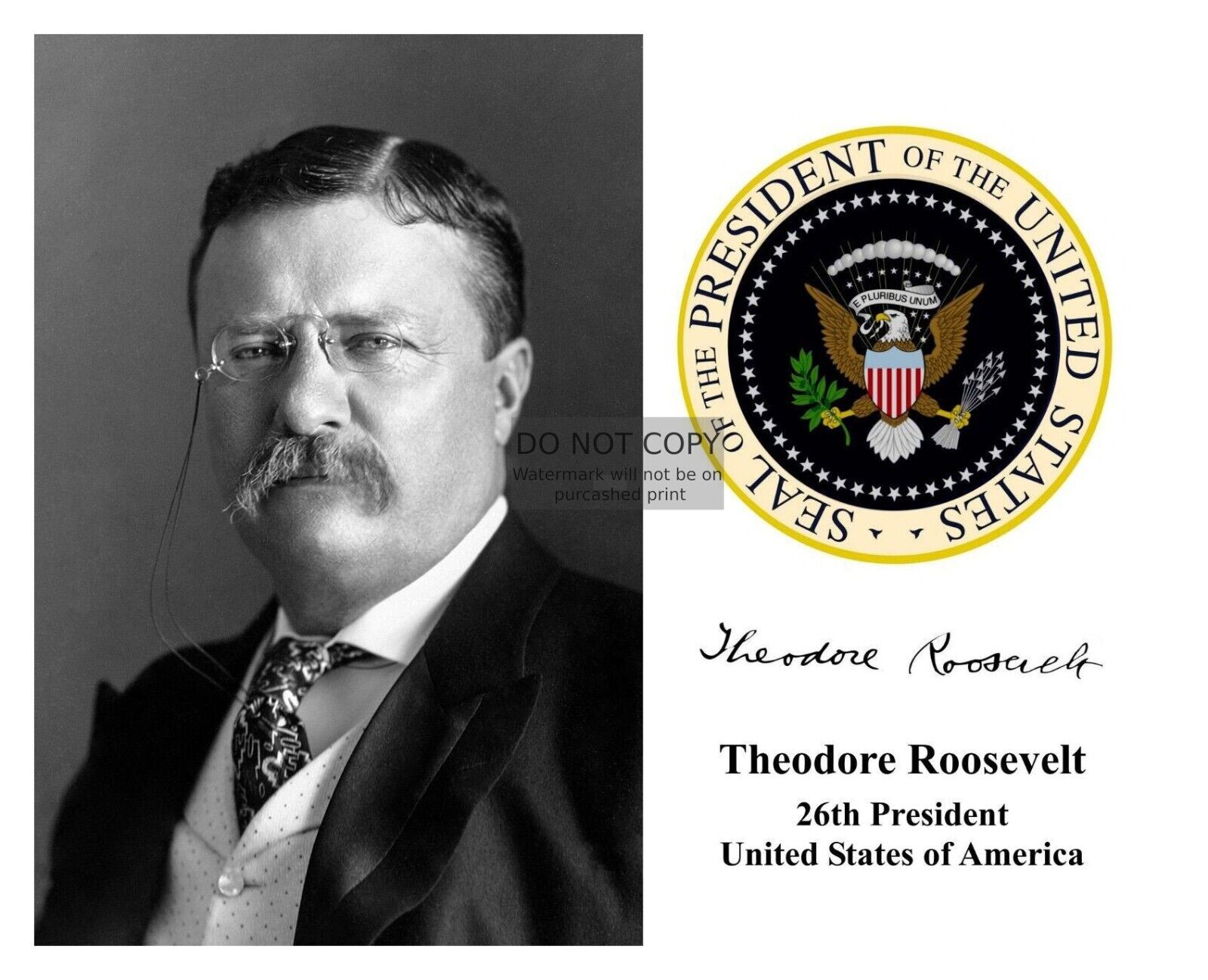 PRESIDENT THEODORE TEDDY ROOSEVELT PRESIDENTIAL SEAL AUTOGRAPHED 8X10 PHOTOGRAPH