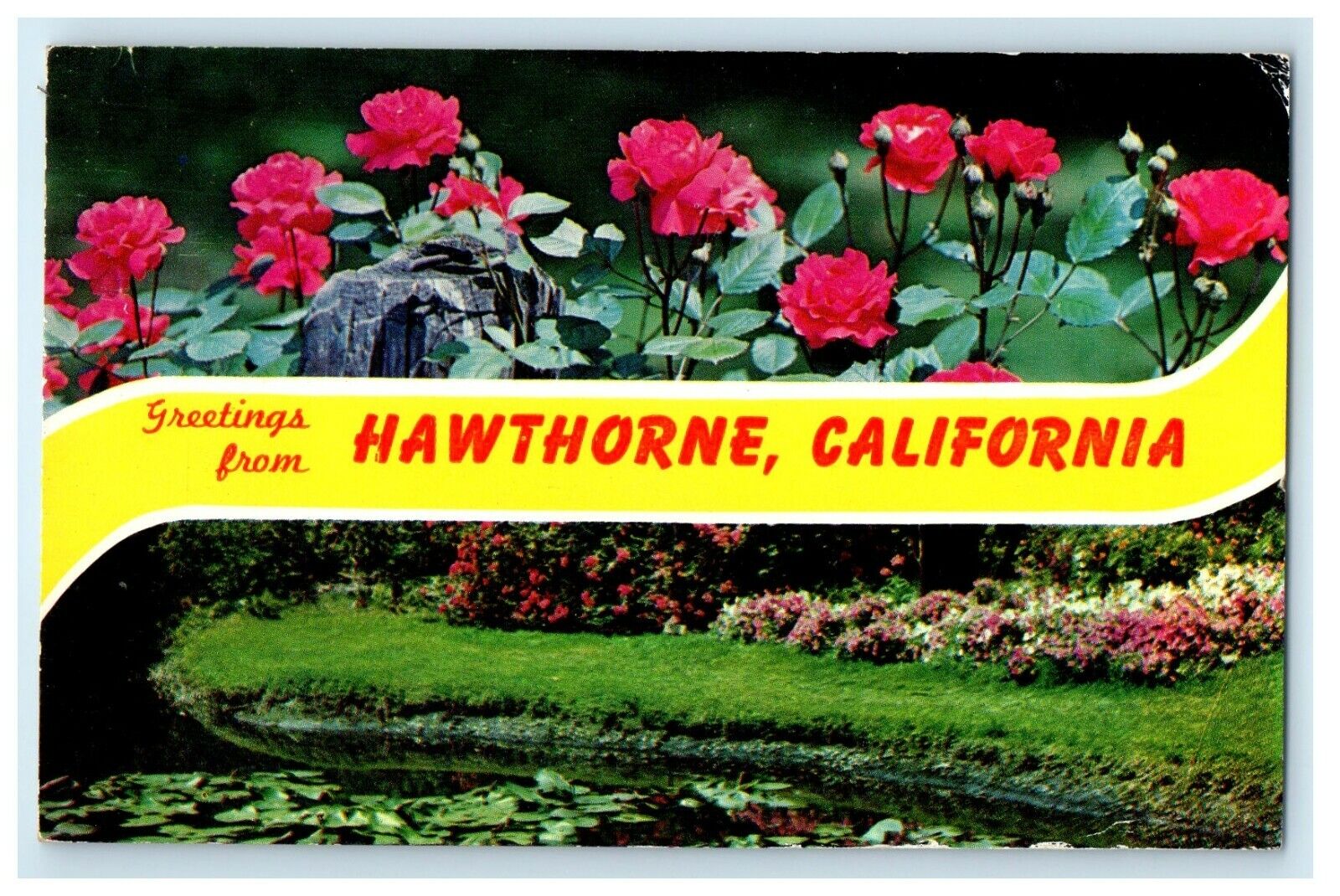 1964 Greetings From Hawthorne California CA Flowers Postcard
