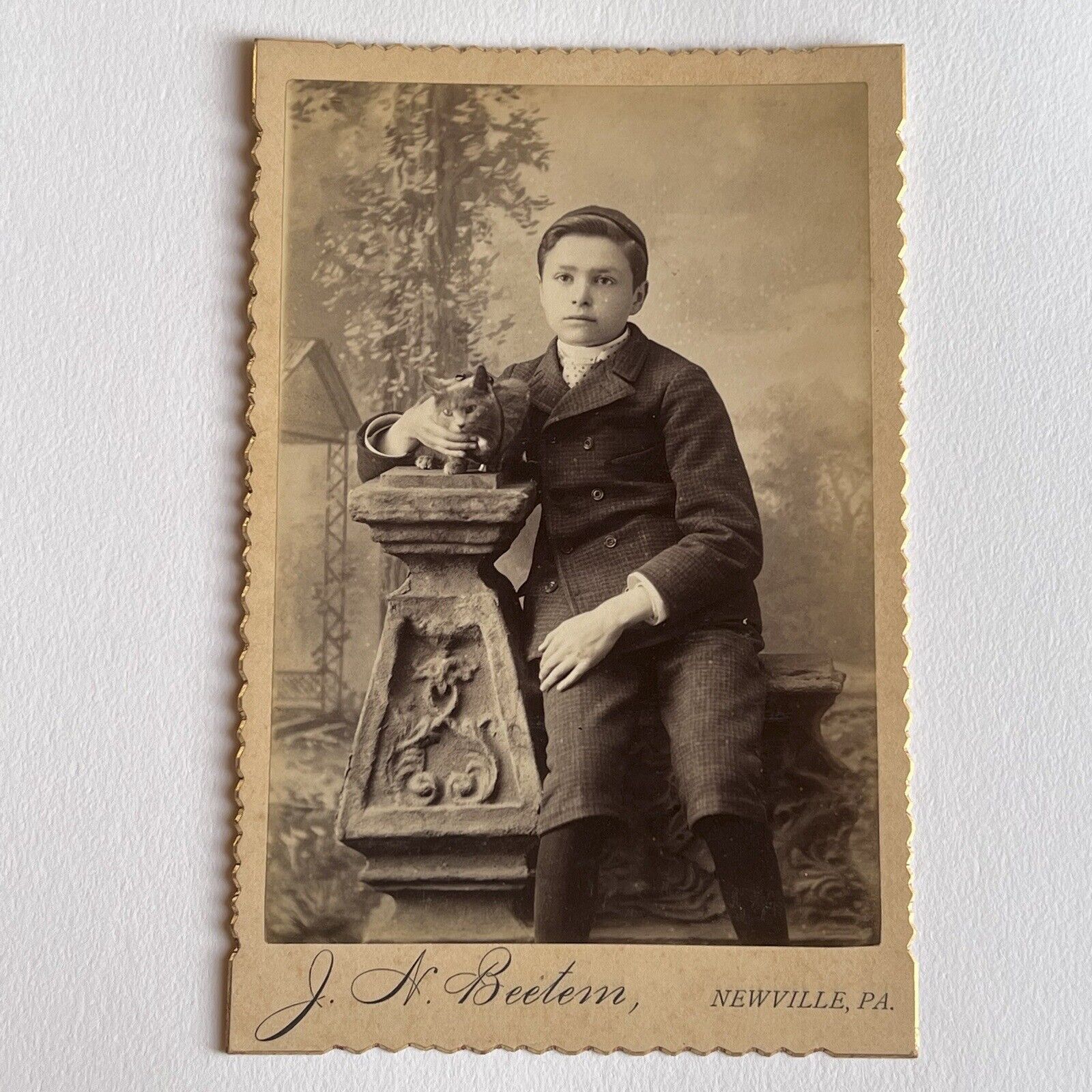 Antique Cabinet Card Photograph Adorable Boy Beloved Grey Kitty Cat Newville PA