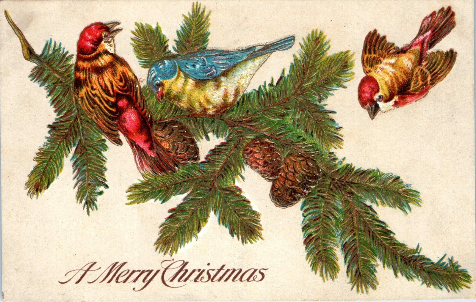 Postcard A Merry Christmas Swallows Christmas tree leaves the printed in Germany