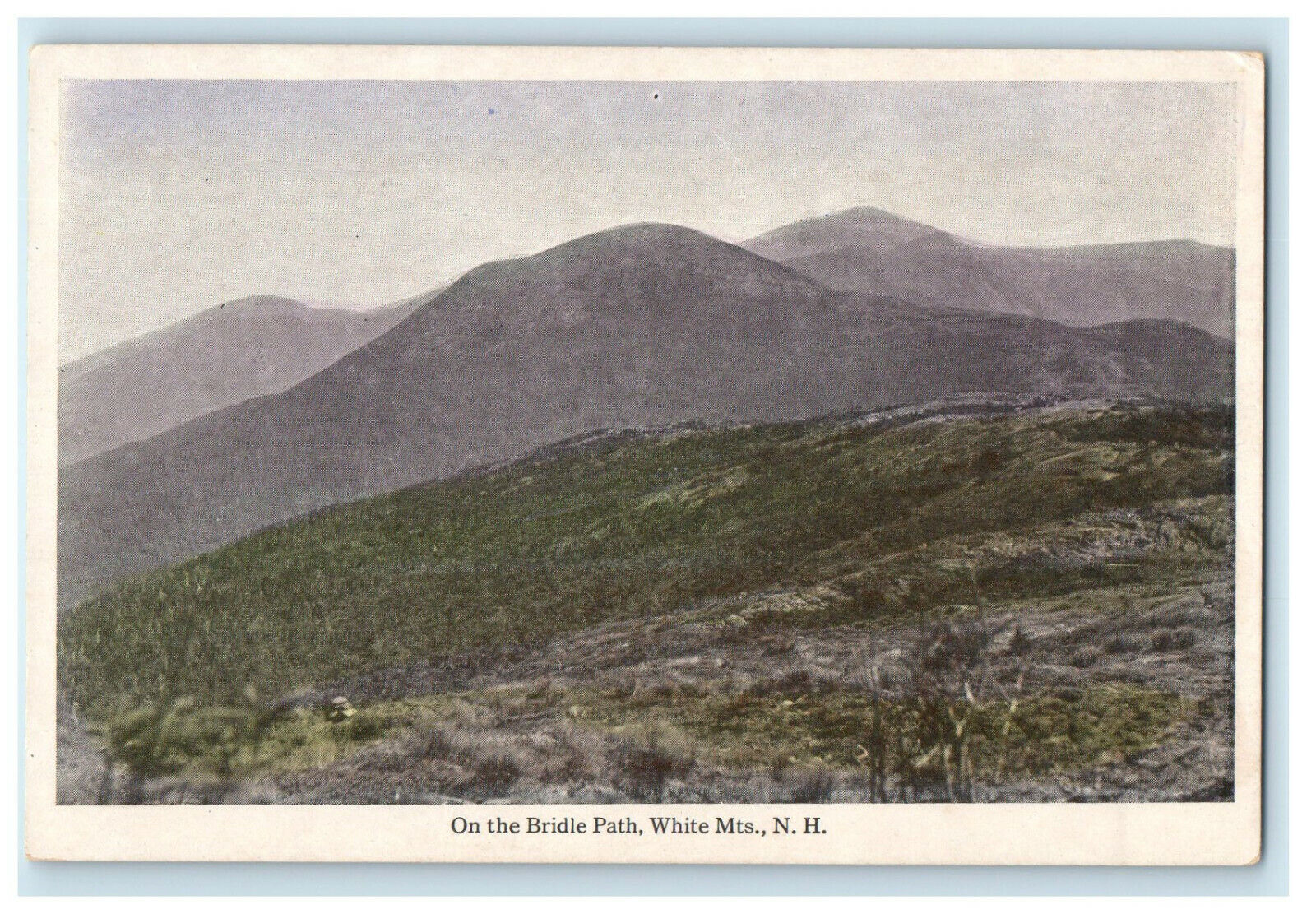 c1920s On the Bridle Path, White Mountains New Hampshire NH Postcard