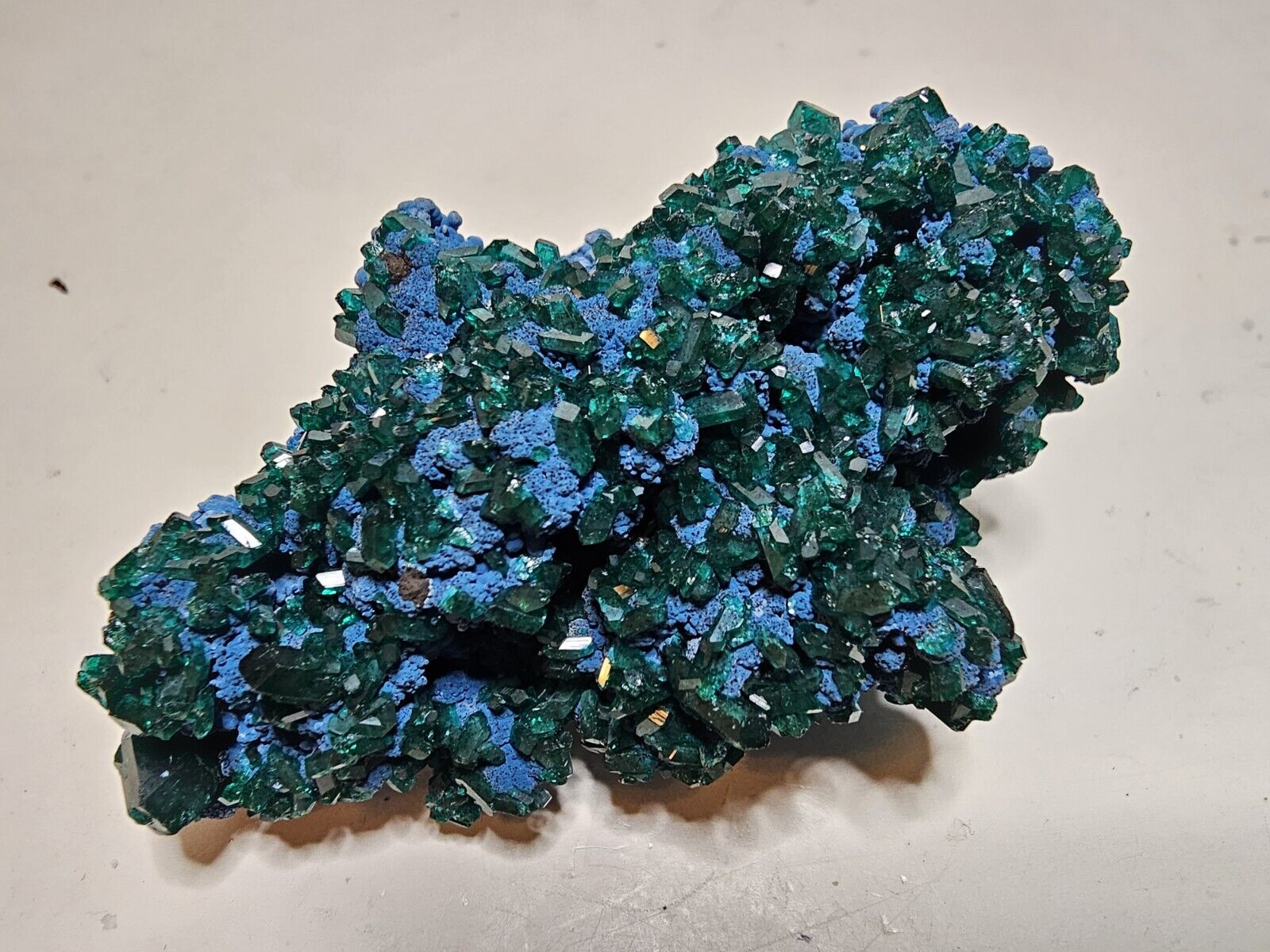 Dioptase on Shattuckite - Amazing Green To Blue Contrast - Reneville Mine, Congo