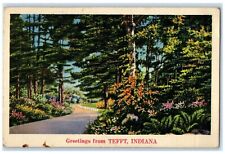 1939 Greetings From Tefft Indiana IN, Curve Road And Trees Vintage Postcard picture