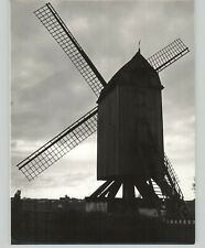 Belgian Wooden Windmill @ Dusk on Farm Land Rustic VTG Press Photo picture
