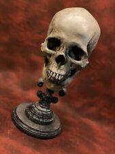 Real Human Skull RESIN REPLICA from Zane Wylie Skulls picture