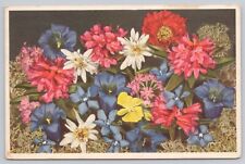 Akron Ohio, Alpine Rose Gentian Edelweiss Poppy Primrose Violet Vintage Postcard picture