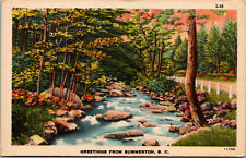 Vtg 1930s Creek View Greetings from Summerton South Carolina SC Postcard picture