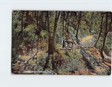 Postcard On a California Mountain Trail picture