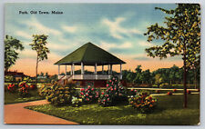 Vintage Postcard ME Old Town Park Linen Flowers ~5823 picture